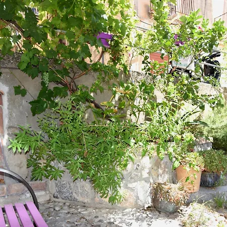 Bed & Breakfast La Casa Del Geko 4*